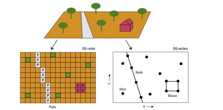 difference entre données vecteur et données raster