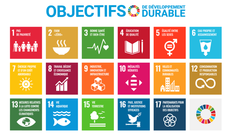 Les 17 Objectifs de Développement Durable (ODD) :